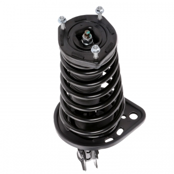 Suspension Strut and Coil Spring Assembly