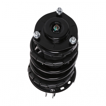 Suspension Strut and Coil Spring Assembly