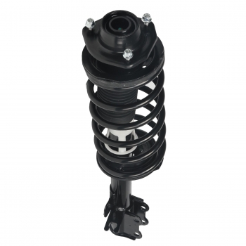 Suspension Strut and Coil Spring Assembly