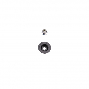 Suspension Strut and Coil Spring Assembly