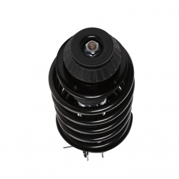 Suspension Strut and Coil Spring Assembly