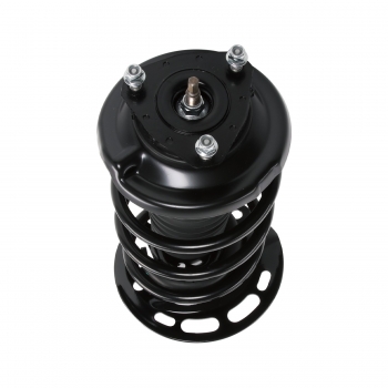 Suspension Strut and Coil Spring Assembly