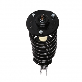 Suspension Strut and Coil Spring Assembly