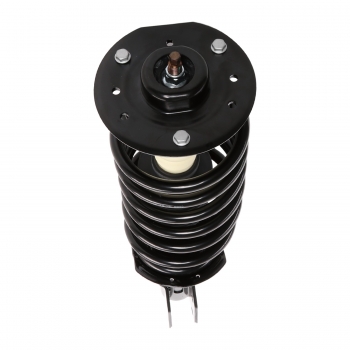 Suspension Strut and Coil Spring Assembly