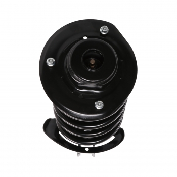 Suspension Strut and Coil Spring Assembly
