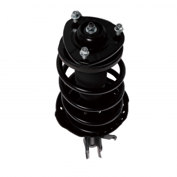Suspension Strut and Coil Spring Assembly