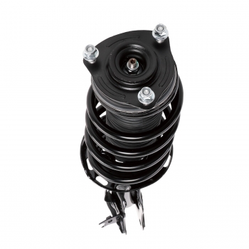 Suspension Strut and Coil Spring Assembly