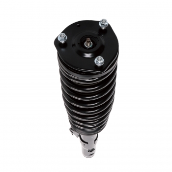 Suspension Strut and Coil Spring Assembly