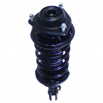 Suspension Strut and Coil Spring Assembly