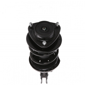 Suspension Strut and Coil Spring Assembly