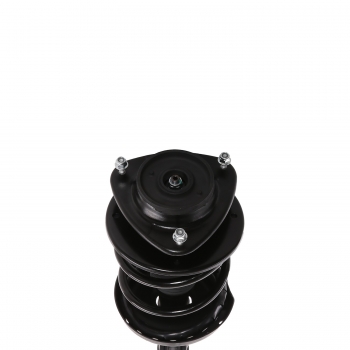 Suspension Strut and Coil Spring Assembly