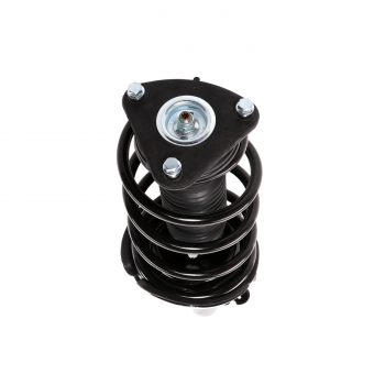 Suspension Strut and Coil Spring Assembly