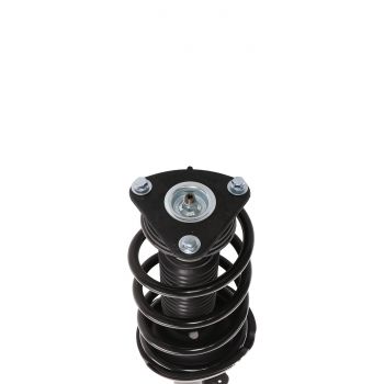Suspension Strut and Coil Spring Assembly