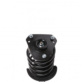 Suspension Strut and Coil Spring Assembly
