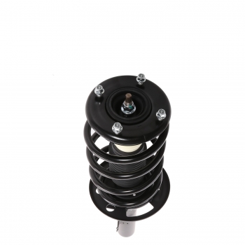 Suspension Strut and Coil Spring Assembly
