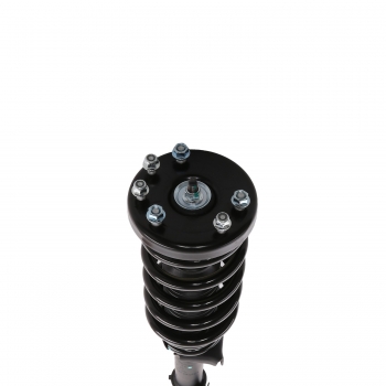Suspension Strut and Coil Spring Assembly