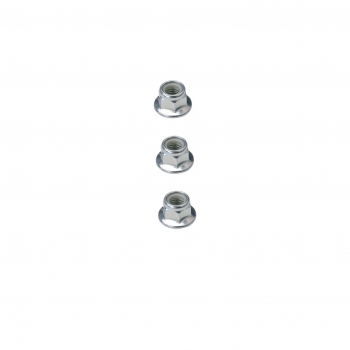 Suspension Strut and Coil Spring Assembly