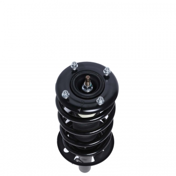 Suspension Strut and Coil Spring Assembly