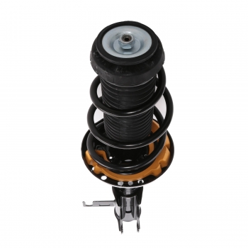 Suspension Strut and Coil Spring Assembly