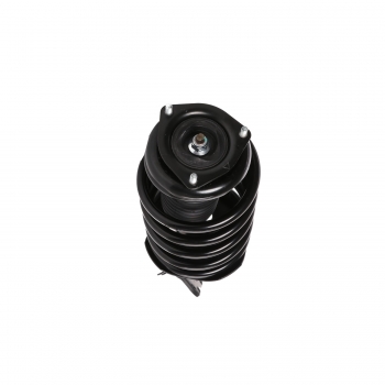 Suspension Strut and Coil Spring Assembly