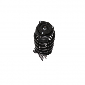 Suspension Strut and Coil Spring Assembly