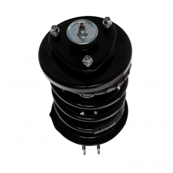 Suspension Strut and Coil Spring Assembly