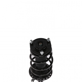 Suspension Strut and Coil Spring Assembly