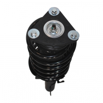 Suspension Strut and Coil Spring Assembly