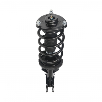 Suspension Strut and Coil Spring Assembly