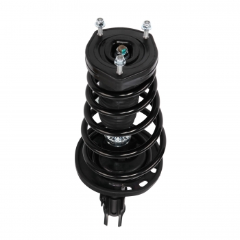 Suspension Strut and Coil Spring Assembly