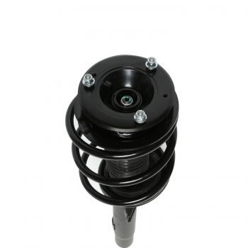 Suspension Strut and Coil Spring Assembly