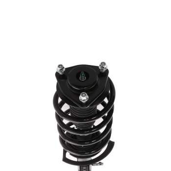 Suspension Strut and Coil Spring Assembly