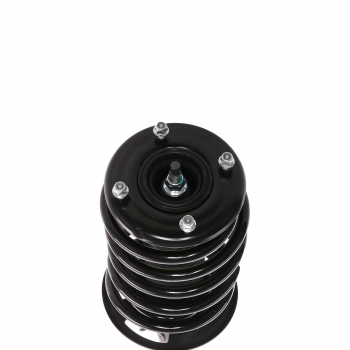 Suspension Strut and Coil Spring Assembly