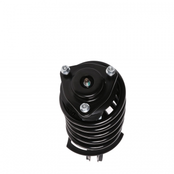 Suspension Strut and Coil Spring Assembly