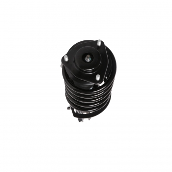 Suspension Strut and Coil Spring Assembly