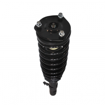 Suspension Strut and Coil Spring Assembly