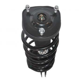 Suspension Strut and Coil Spring Assembly