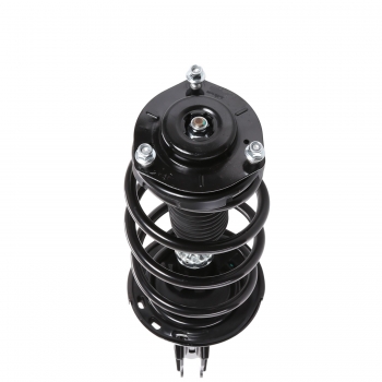 Suspension Strut and Coil Spring Assembly