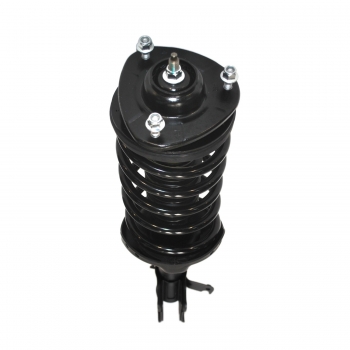 Suspension Strut and Coil Spring Assembly