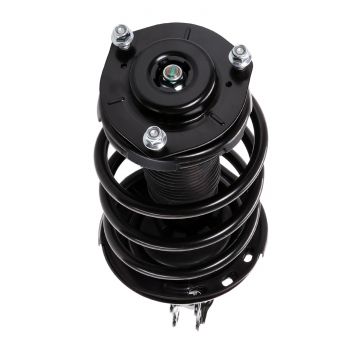 Suspension Strut and Coil Spring Assembly