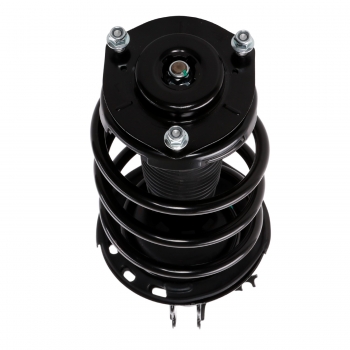 Suspension Strut and Coil Spring Assembly