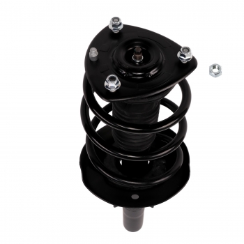 Suspension Strut and Coil Spring Assembly
