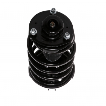 Suspension Strut and Coil Spring Assembly