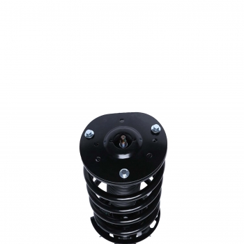 Suspension Strut and Coil Spring Assembly