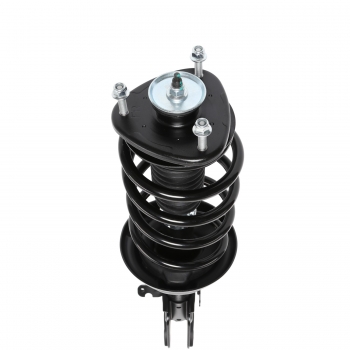 Suspension Strut and Coil Spring Assembly