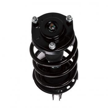 Suspension Strut and Coil Spring Assembly