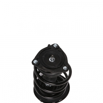 Suspension Strut and Coil Spring Assembly