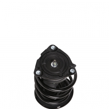 Suspension Strut and Coil Spring Assembly