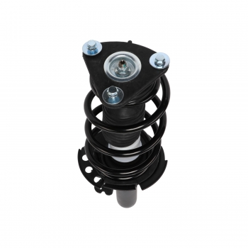 Suspension Strut and Coil Spring Assembly