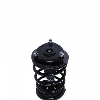 Suspension Strut and Coil Spring Assembly